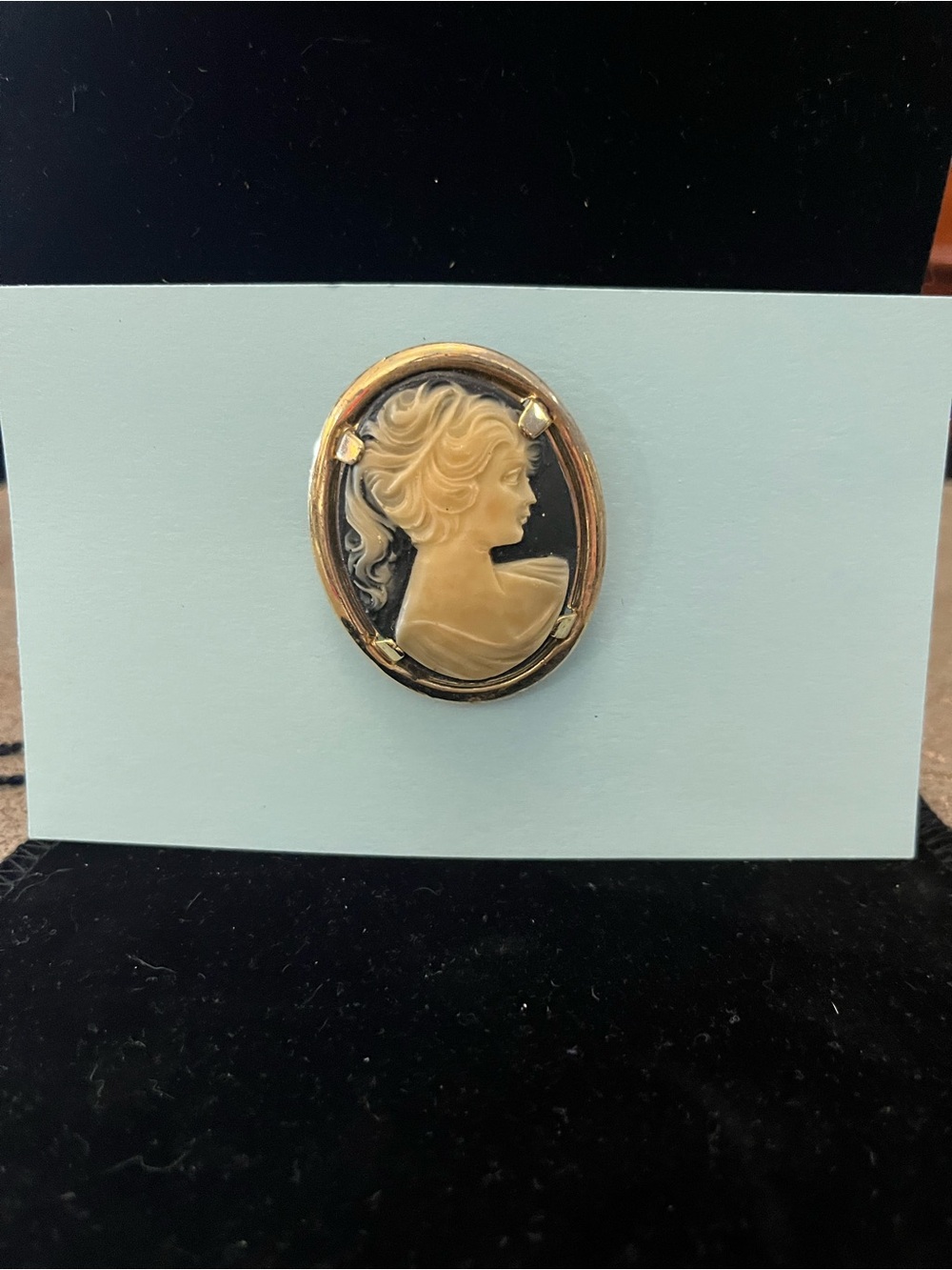 Set 2 cameos brooches